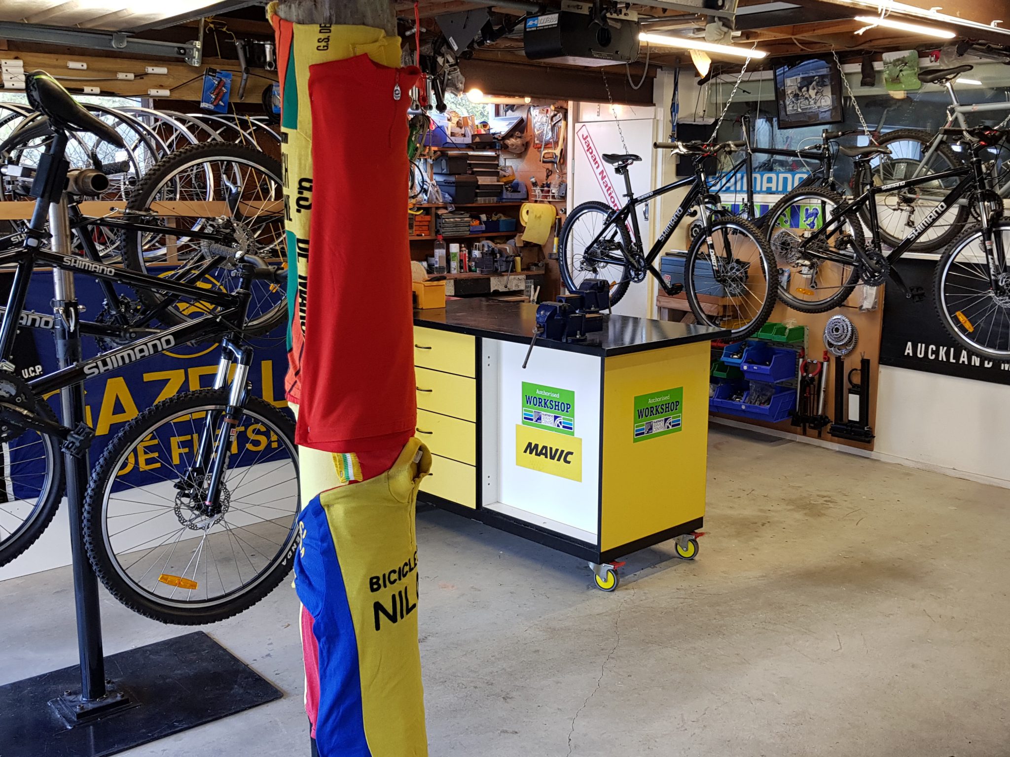 bike training classes near me